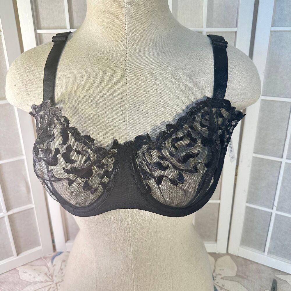 Sexy Sheer Bra 38DD NWT